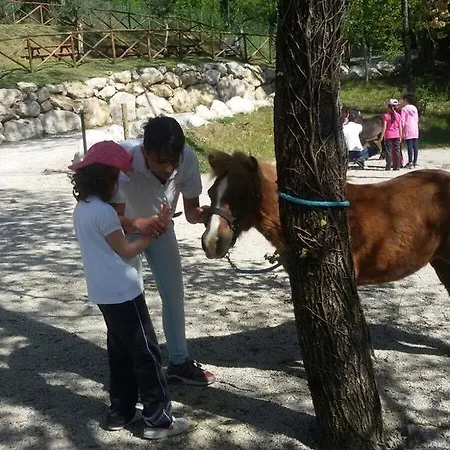 Lo Scoiattolo Del Pollino Rotonda