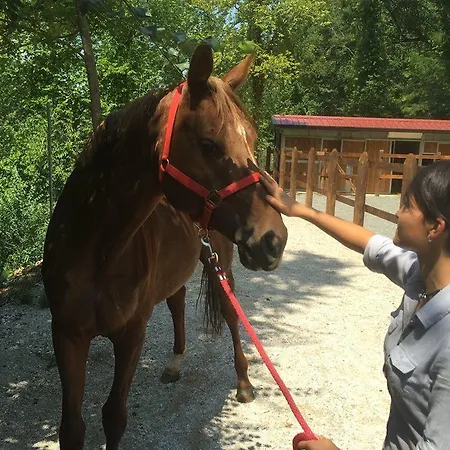 Bed & Breakfast Lo Scoiattolo Del Pollino 4*