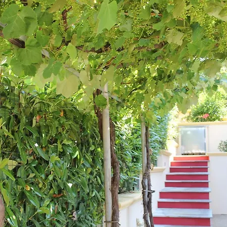 Bed & Breakfast Lo Scoiattolo Del Pollino 4*