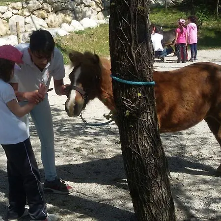 Lo Scoiattolo Del Pollino Rotonda