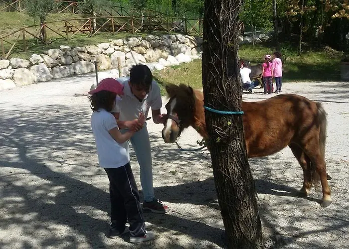 Lo Scoiattolo Del Pollino Rotonda