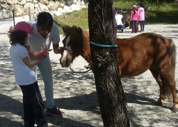 Lo Scoiattolo Del Pollino Rotonda